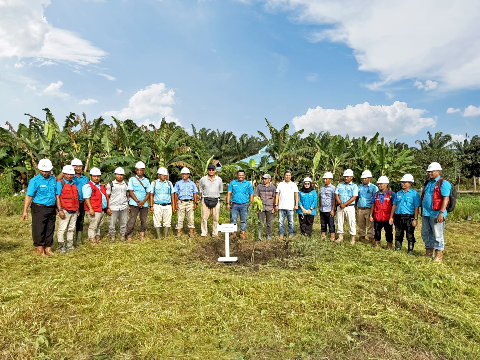 STAA Tanam 150 Pohon Mangga di Perumahan Karyawan